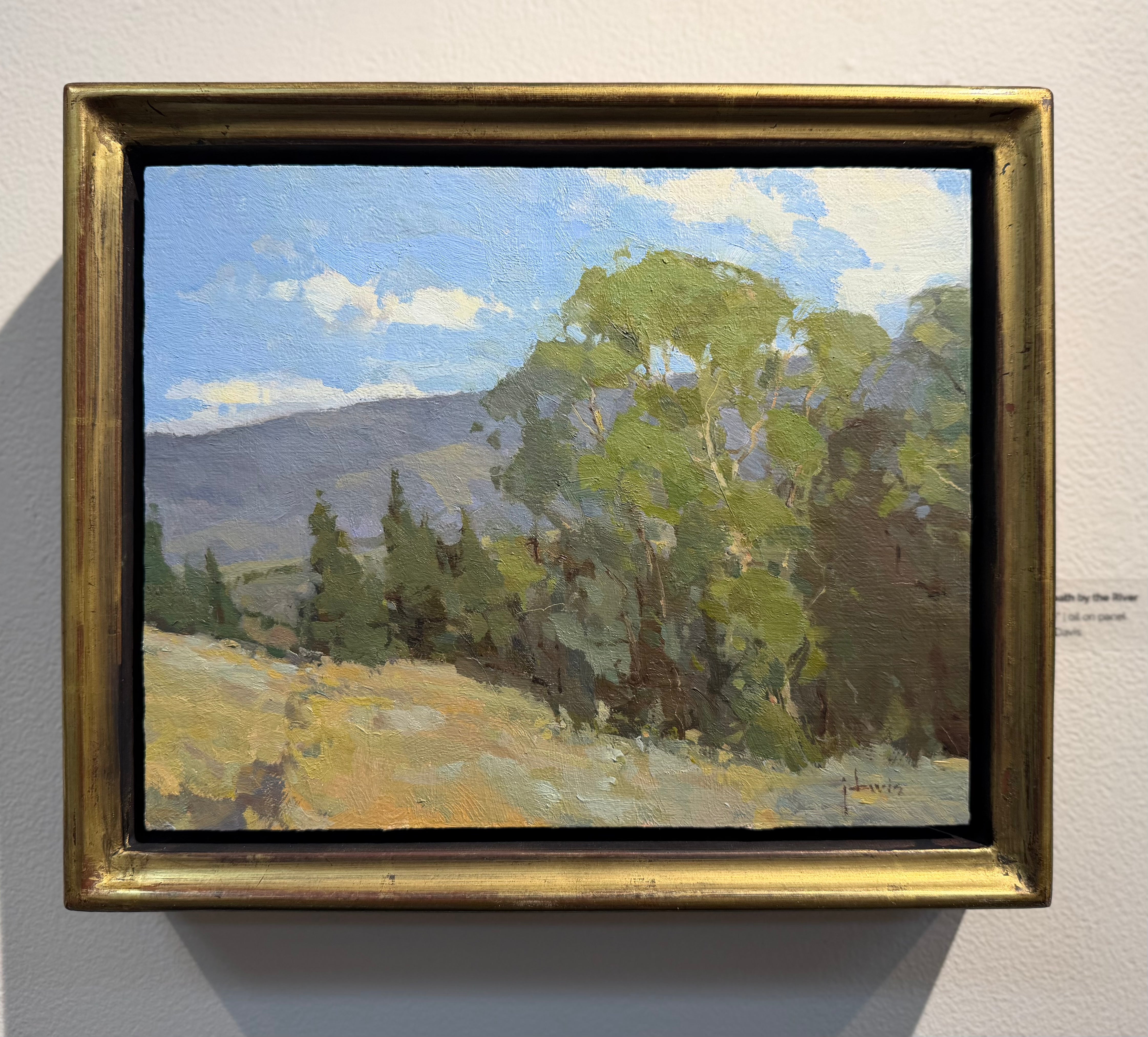 Footpath By The River