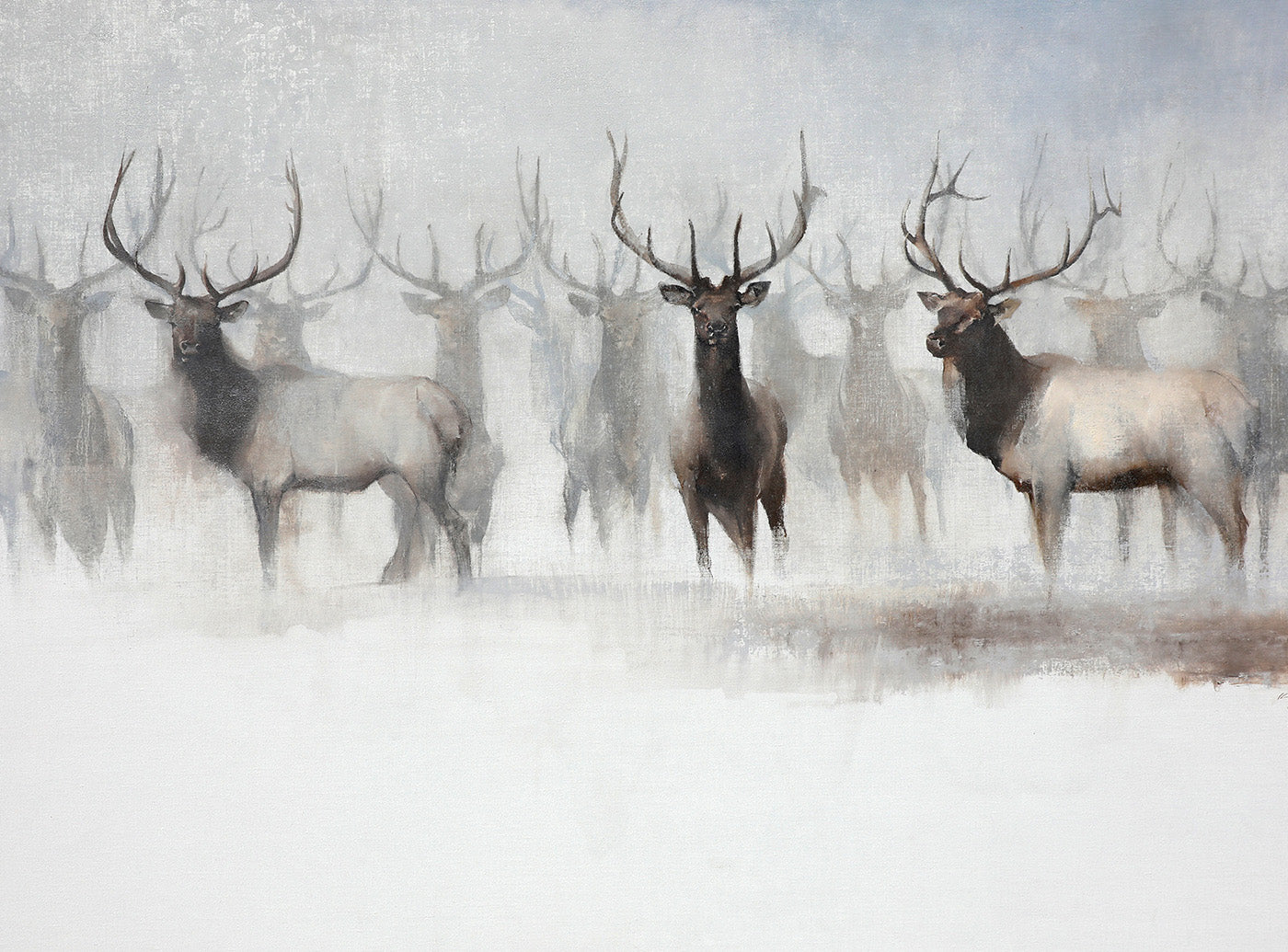 Fine art prints - Turner Fine Art