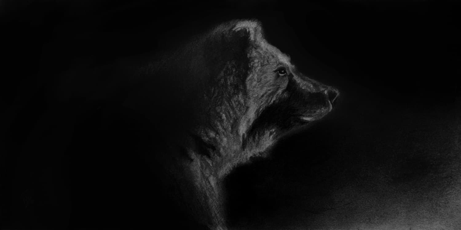 Bear - by artist Ray Brown – Turner Fine Art