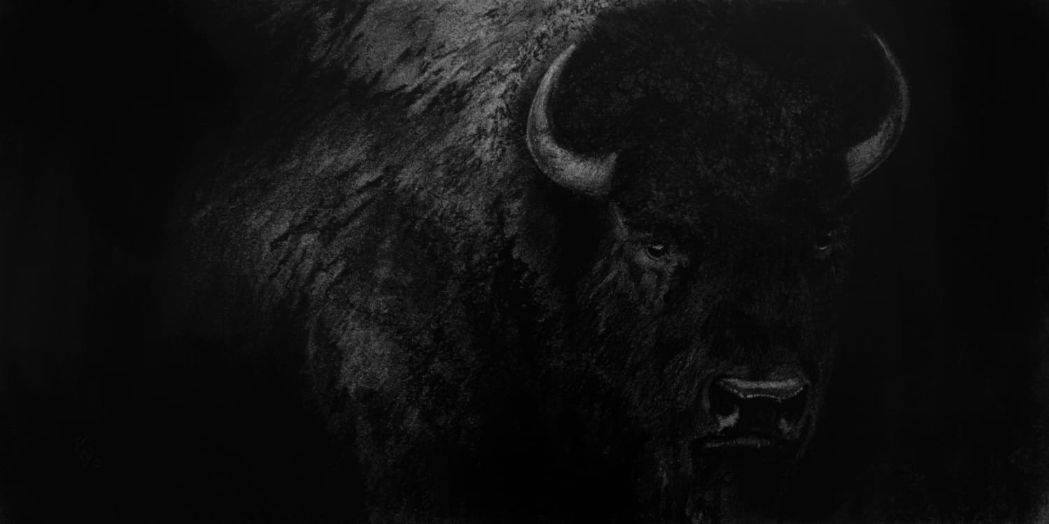 Bison - by artist Ray Brown – Turner Fine Art