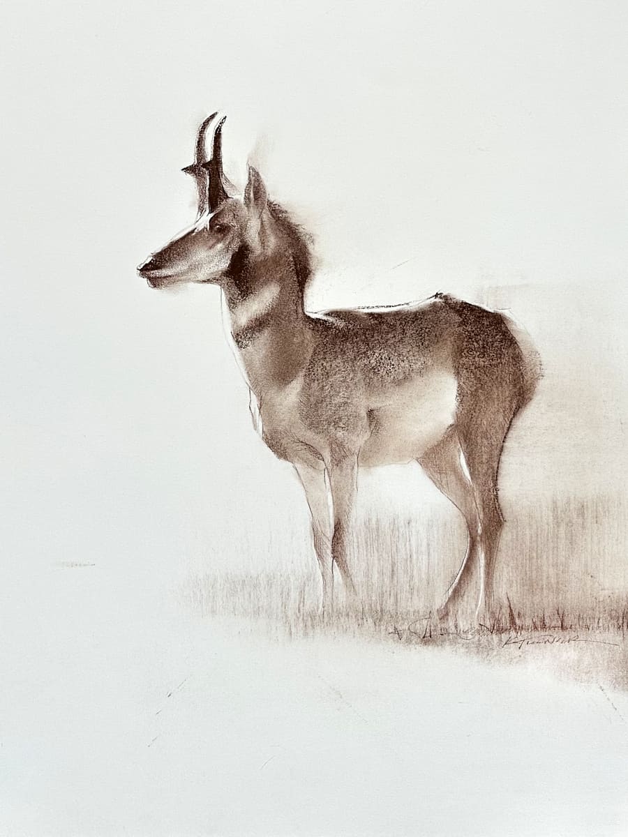 Born To Run - by artist Kathryn Mapes Turner – Turner Fine Art