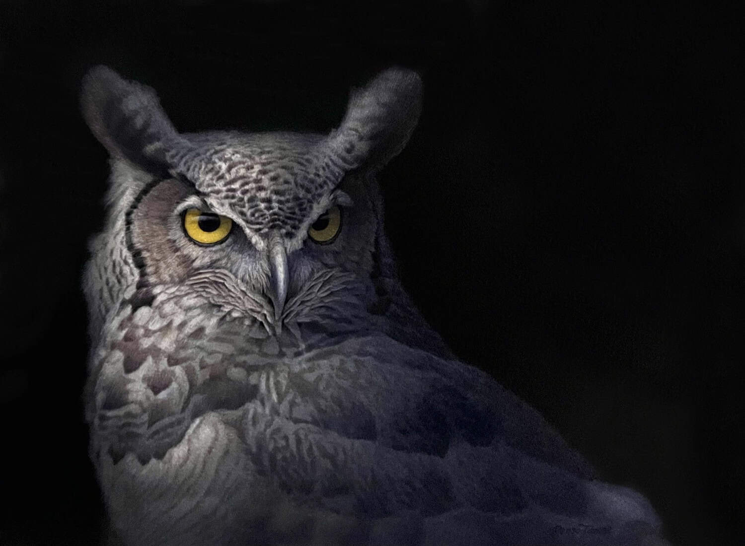 Great Horned Owl - by artist Renso Tamse – Turner Fine Art