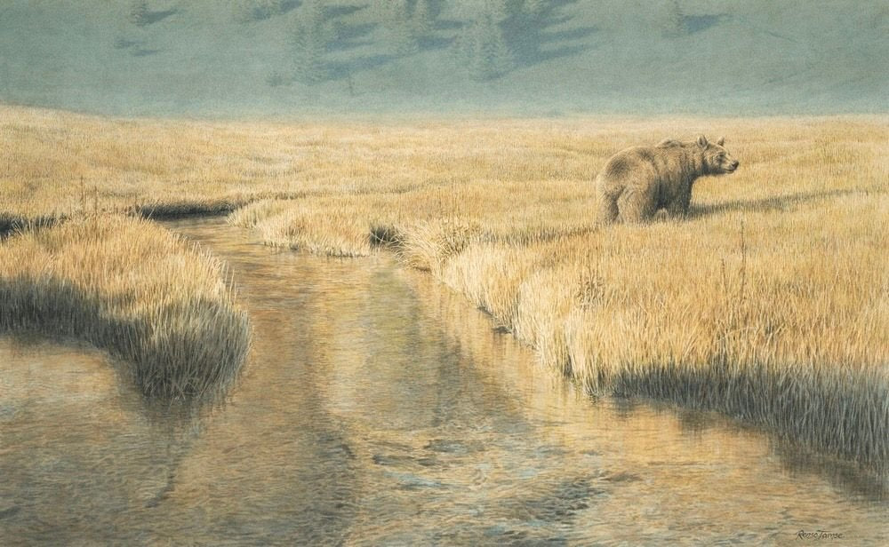 Grizzly (In Landscape) - by artist Renso Tamse – Turner Fine Art