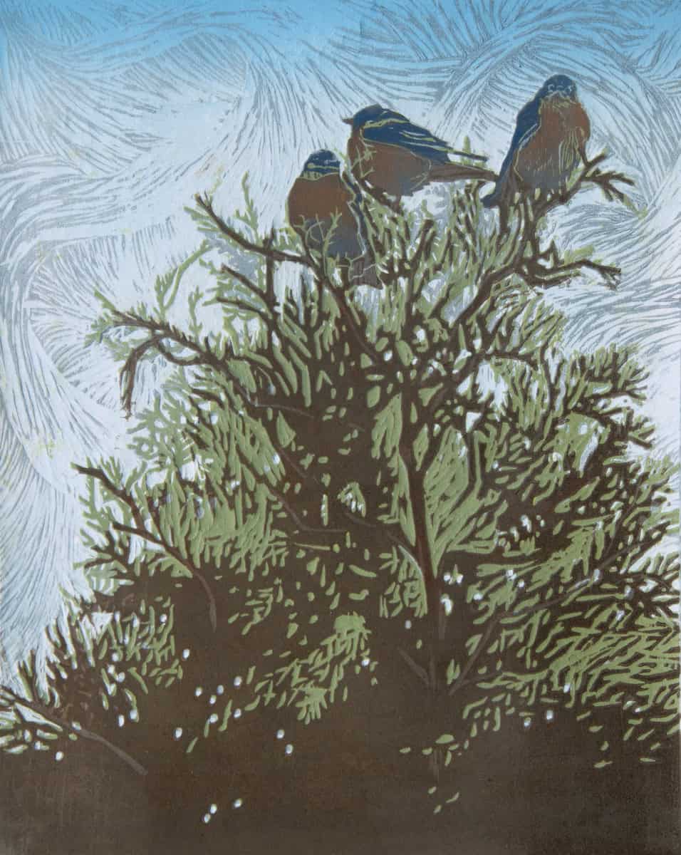Juniper Respite - by artist Millie Whipplesmith Plank – Turner Fine Art