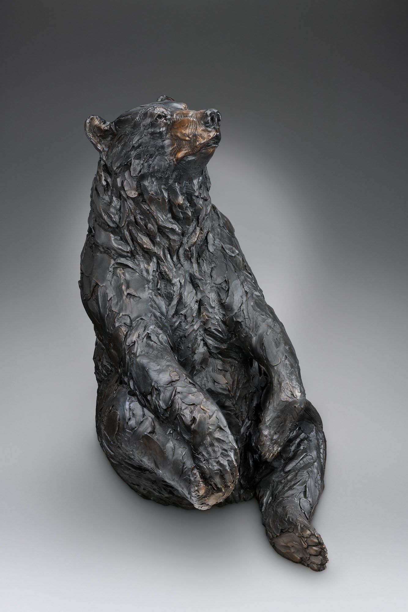Mama Bear - by artist Paul Rhymer – Turner Fine Art