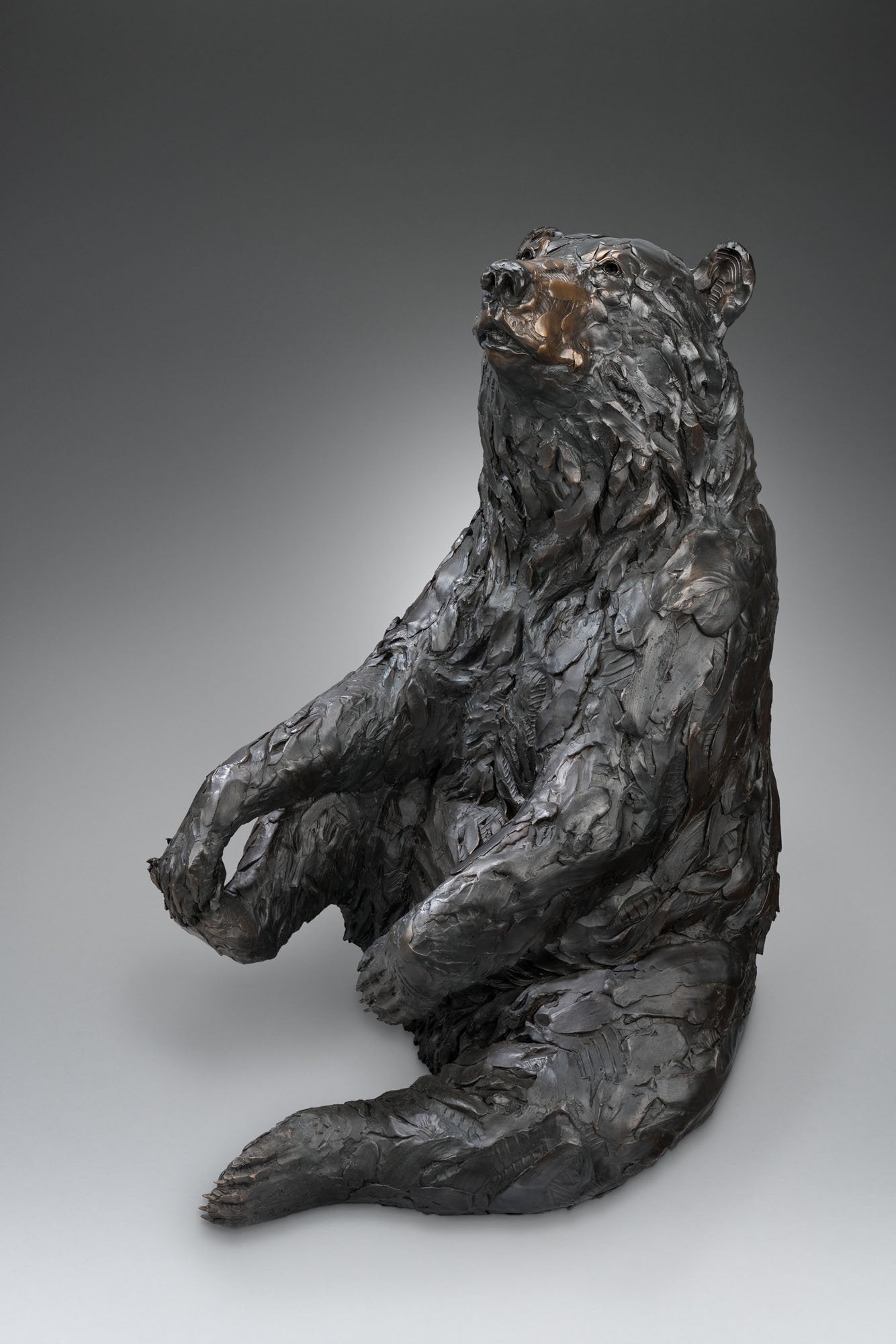 Mama Bear - by artist Paul Rhymer – Turner Fine Art