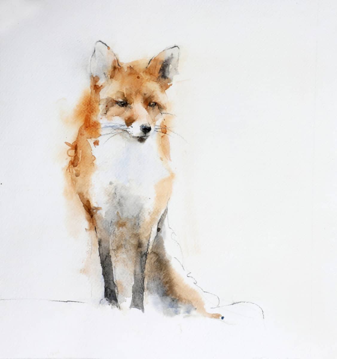 One O'Clock Fox - by artist Kathryn Mapes Turner – Turner Fine Art