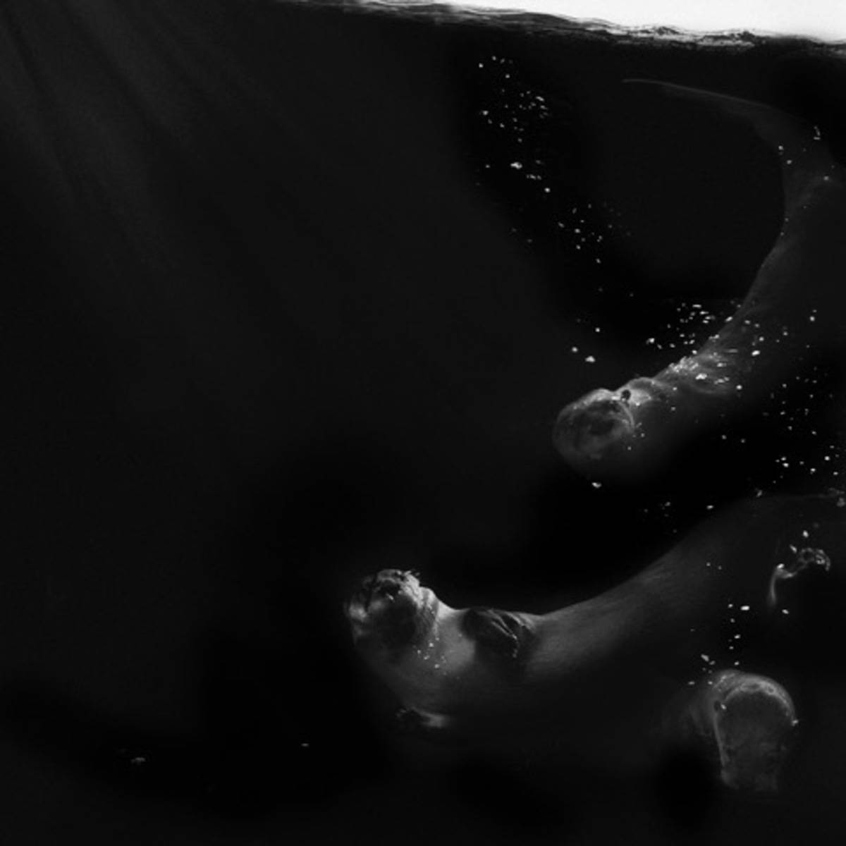 Otter Nonsense - by artist Ray Brown – Turner Fine Art