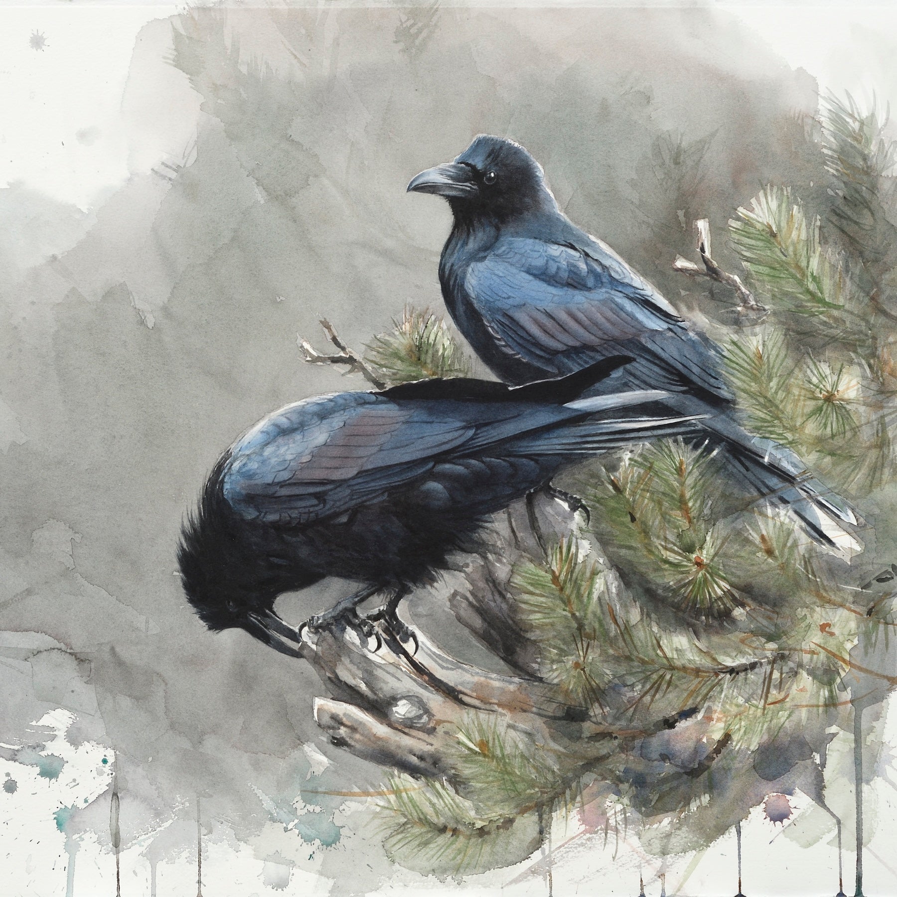 Ravens of the Madison River - by artist Gunnar Tryggmo – Turner Fine Art