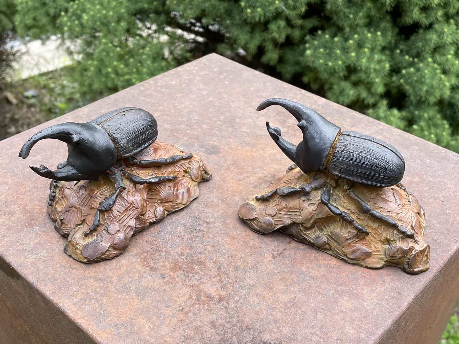 Rhino Beetle - by artist Paul Rhymer – Turner Fine Art