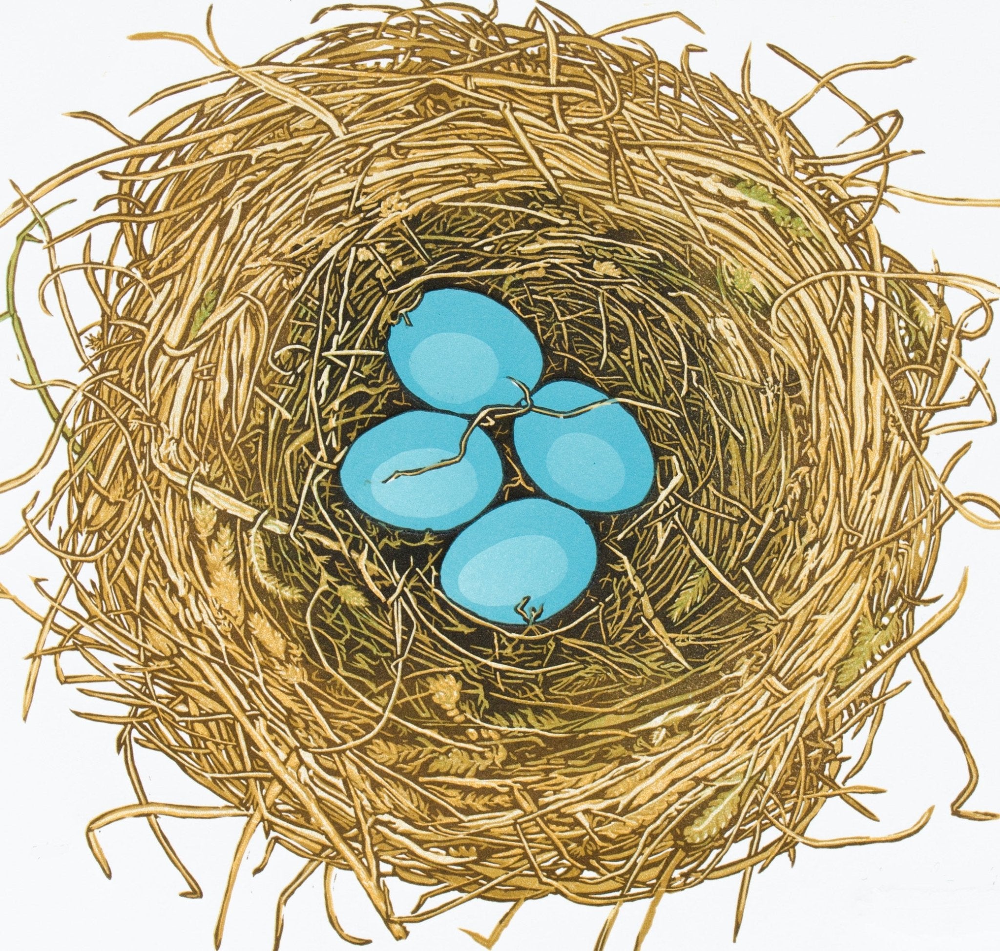 Robin's Nest - by artist Monique Wales – Turner Fine Art