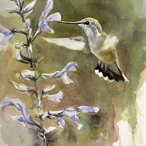 Ruby Throated, Female - by artist Gunnar Tryggmo – Turner Fine Art