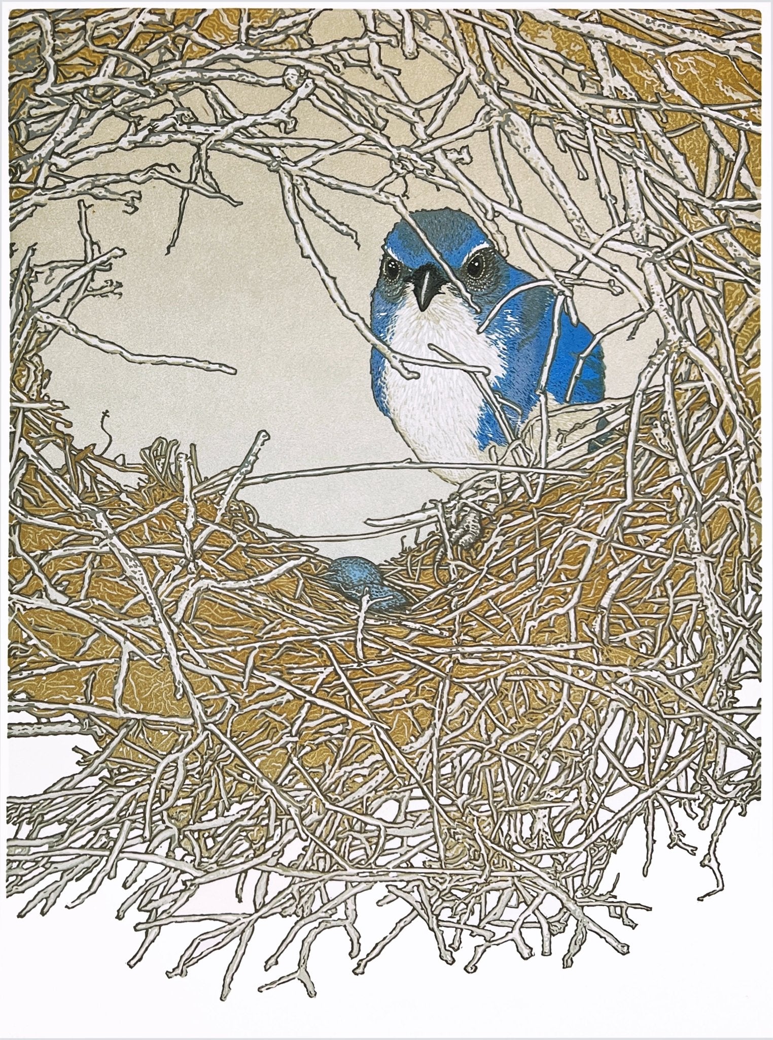 Scrub Jay's Fixer Upper - by artist Monique Wales – Turner Fine Art