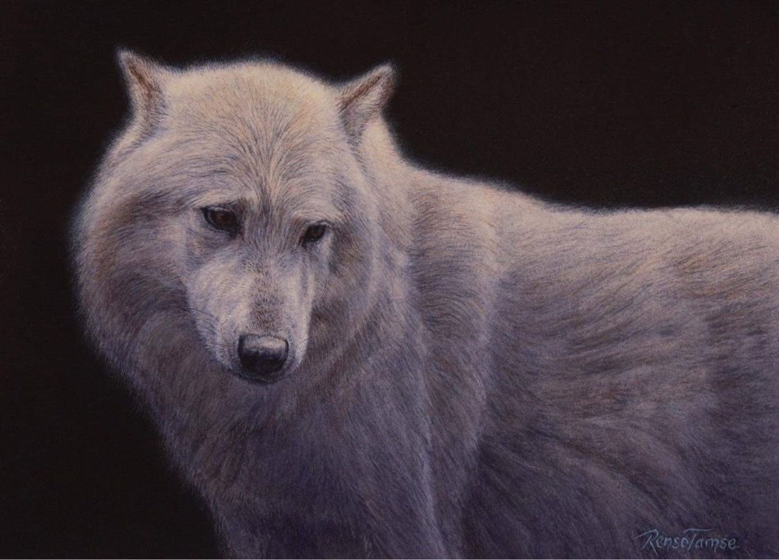 Soul Wolf - by artist Renso Tamse – Turner Fine Art