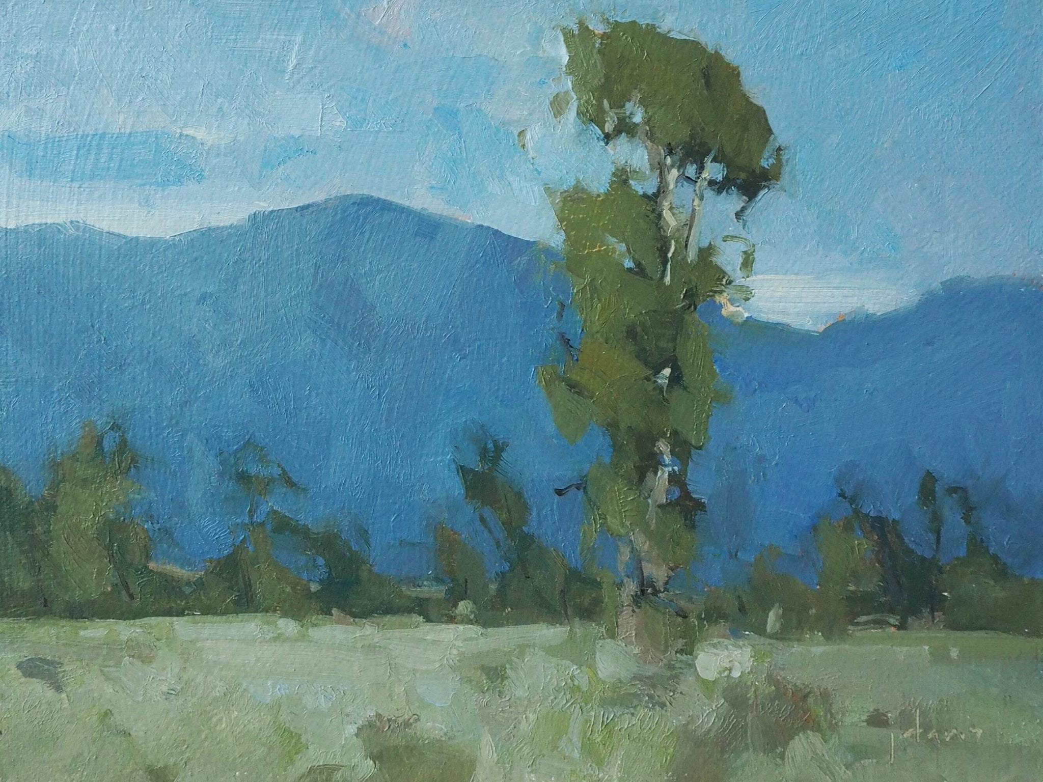 Summer Color - by artist Julie Davis – Turner Fine Art