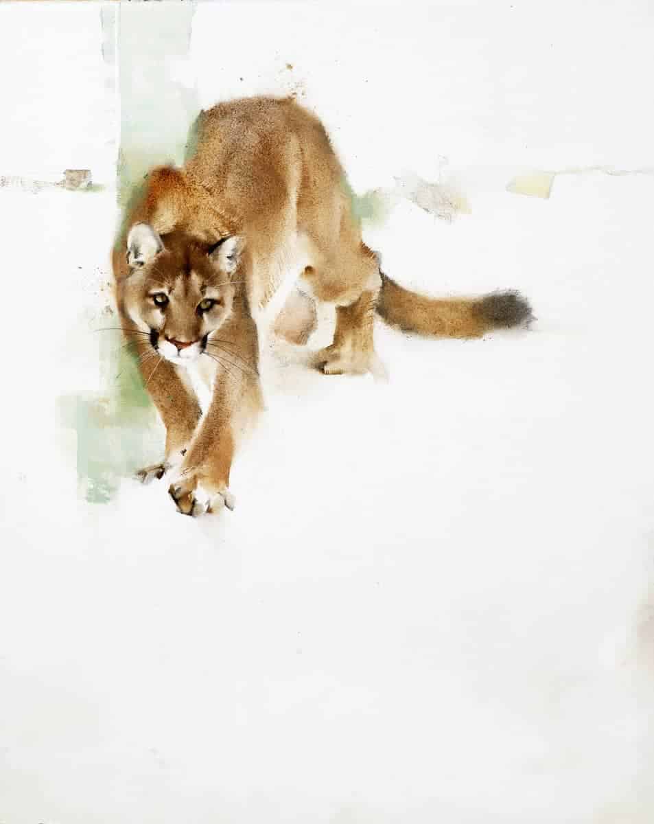 The Stars Align - by artist Kathryn Mapes Turner – Turner Fine Art