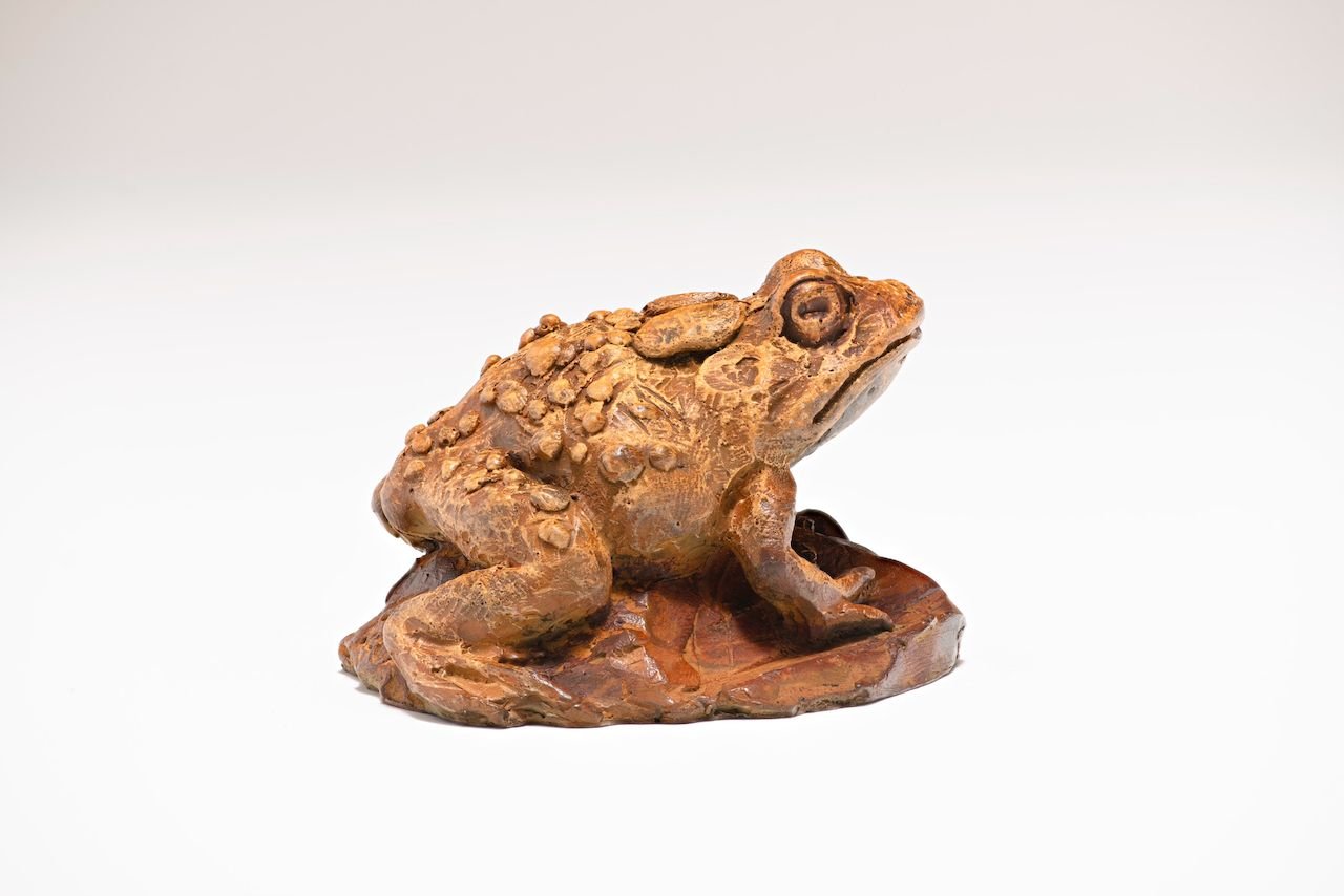 Toad - by artist Paul Rhymer – Turner Fine Art