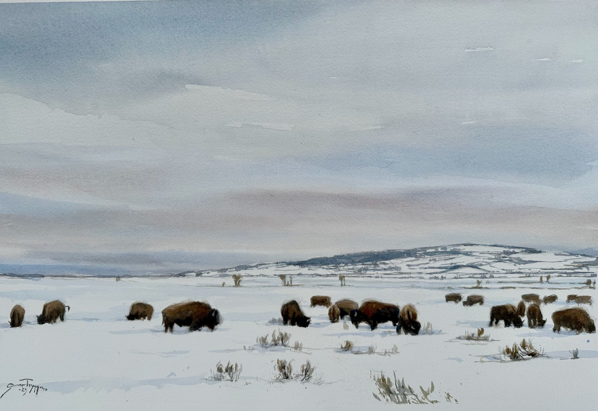 Winter Bison (demonstration 2023) - by artist Gunnar Tryggmo – Turner Fine Art