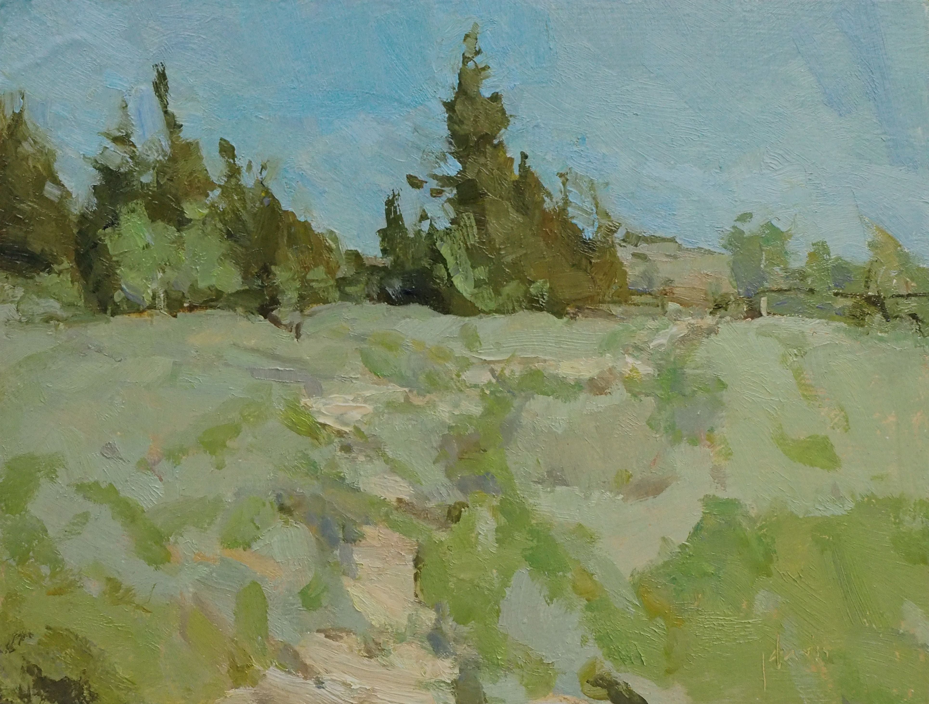 Summer Near Slide Lake