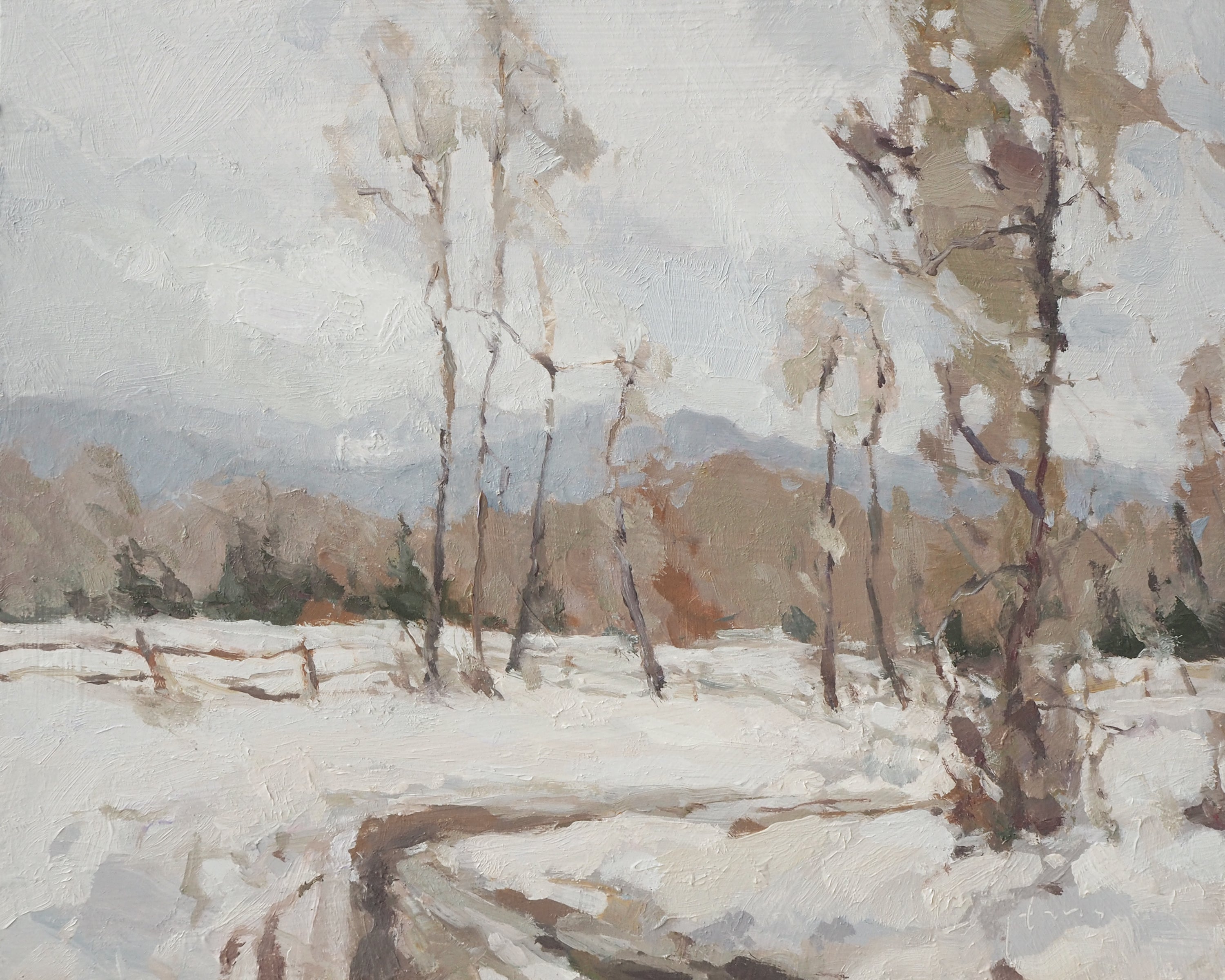Winter in the Park