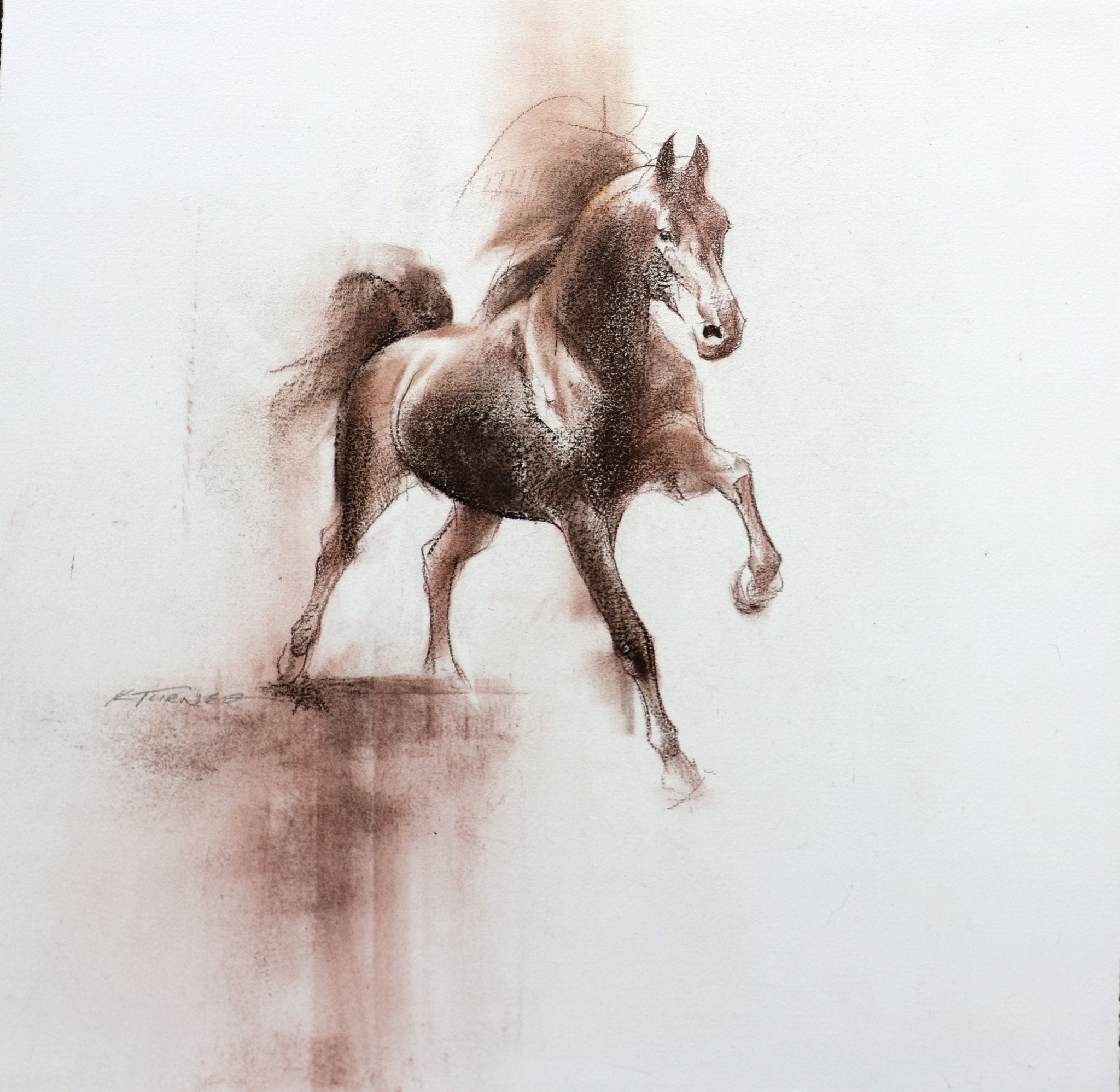 A Bold Spirit - by artist Kathryn Mapes Turner – Turner Fine Art