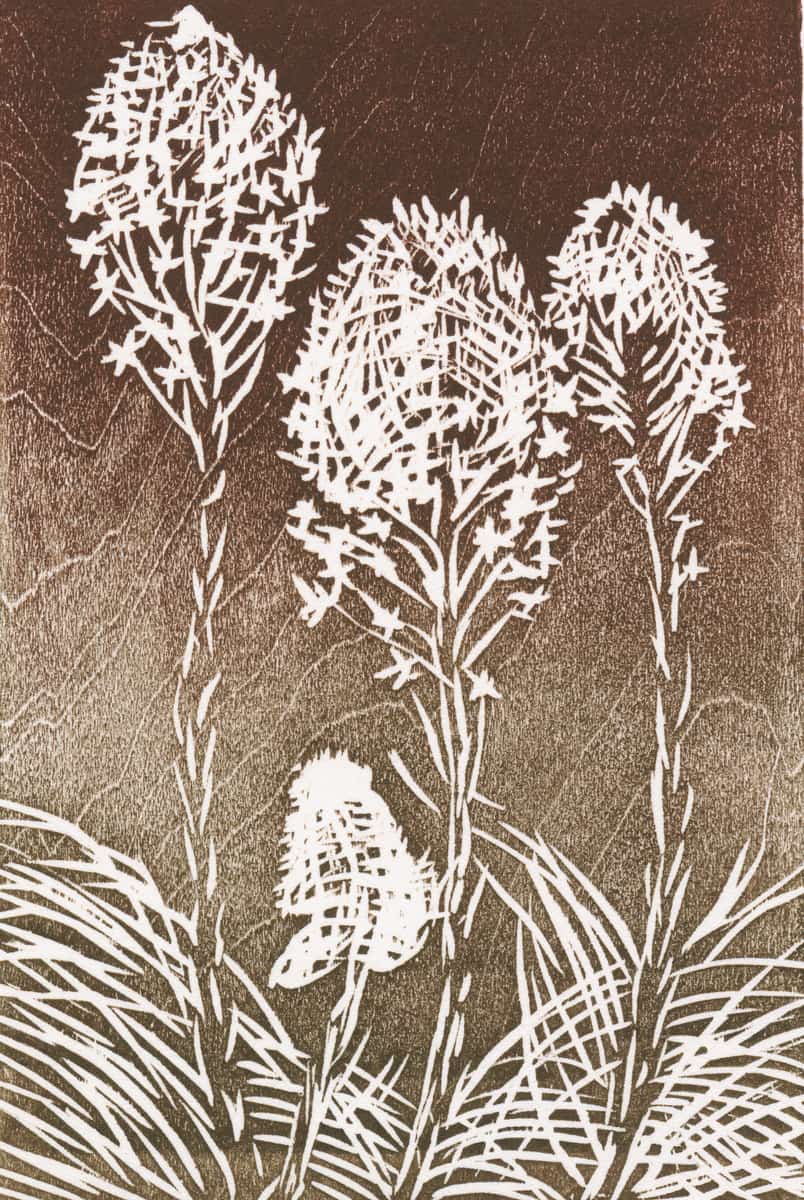 Bear Grass - by artist Millie Whipplesmith Plank – Turner Fine Art