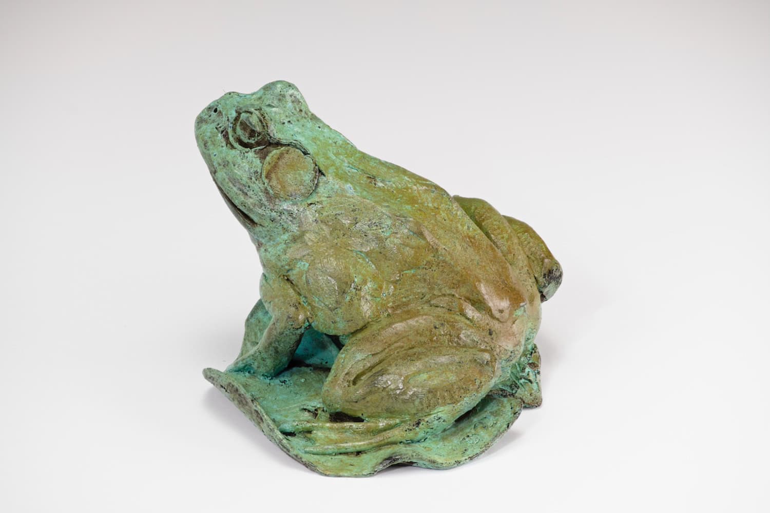 Bullfrog - by artist Paul Rhymer – Turner Fine Art