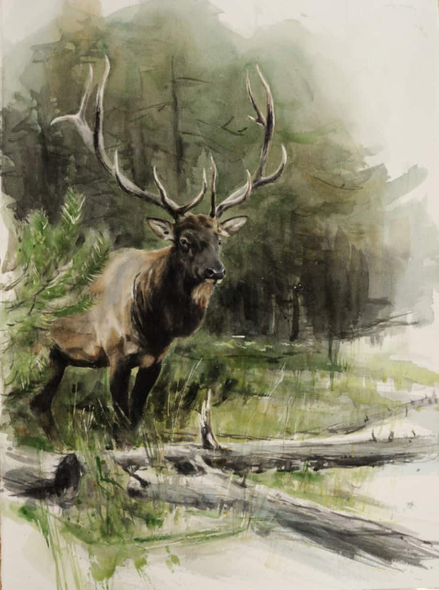 Coming Out - by artist Gunnar Tryggmo – Turner Fine Art