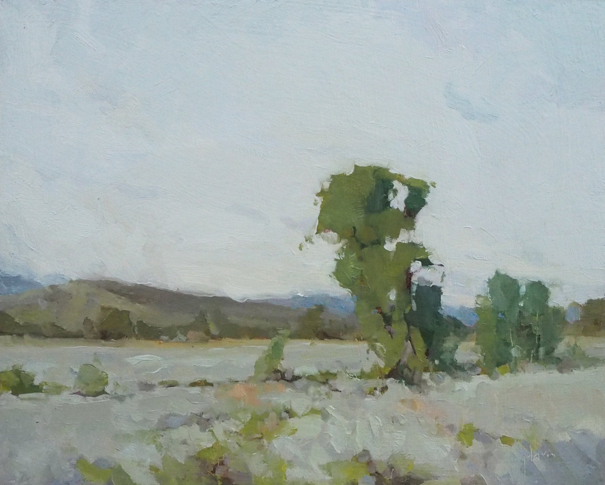 Cottonwood and Sagebrush - by artist Julie Davis – Turner Fine Art
