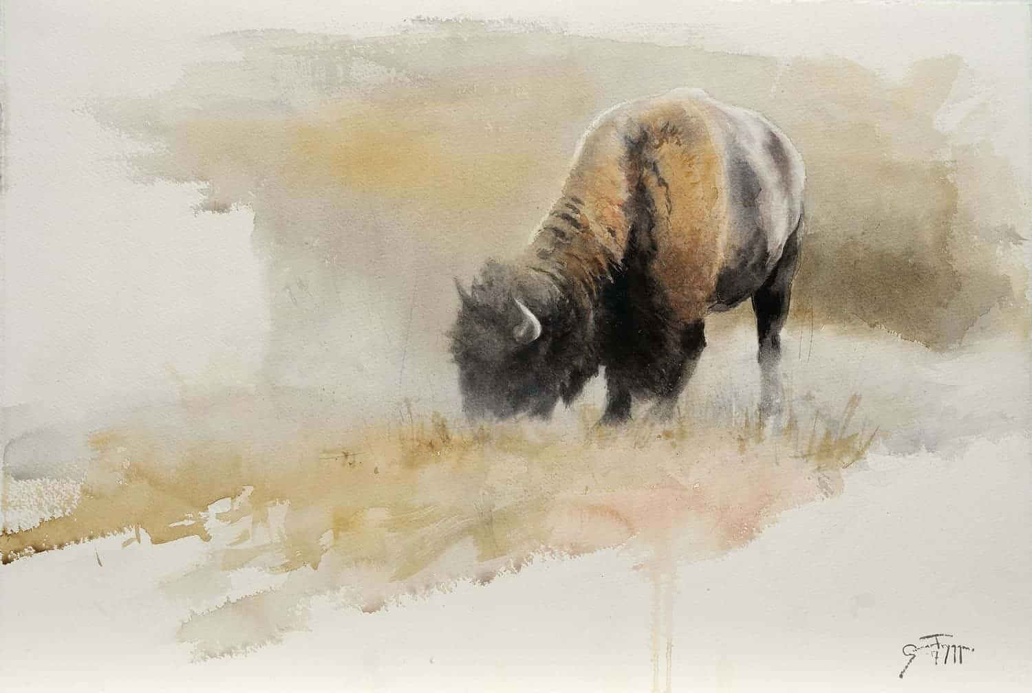 Dusting Buffalo - by artist Gunnar Tryggmo – Turner Fine Art