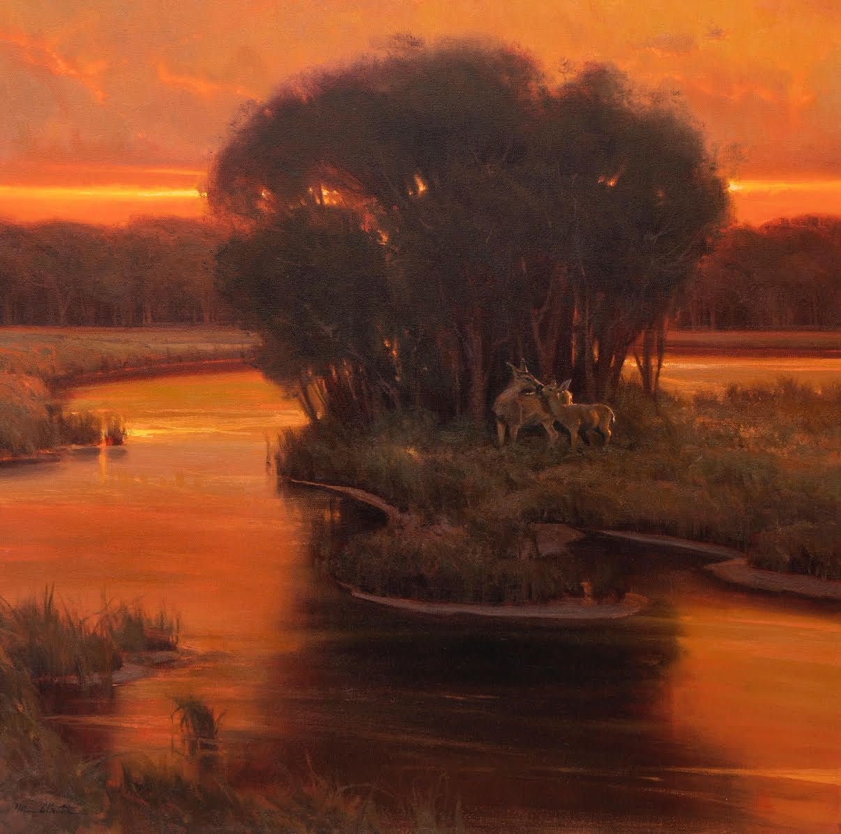 Emotions of Light - by artist Michael Albrechtsen – Turner Fine Art