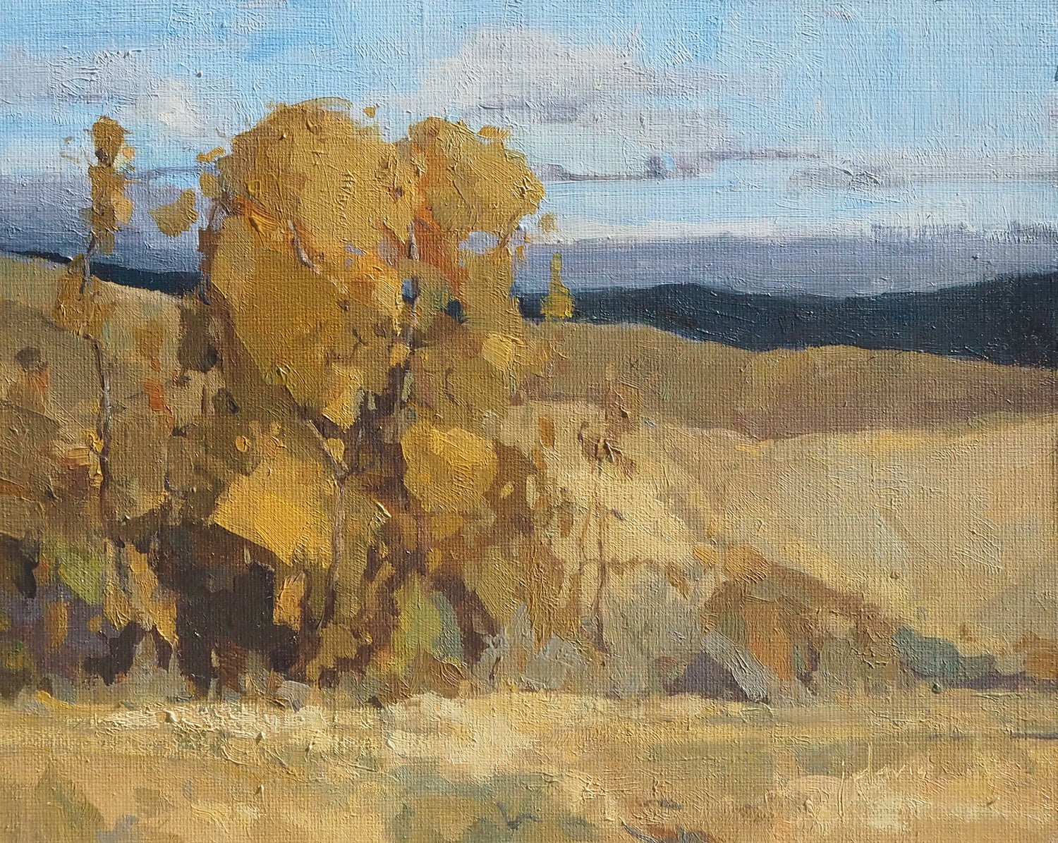 Fall's Blue and Ochre - by artist Julie Davis – Turner Fine Art