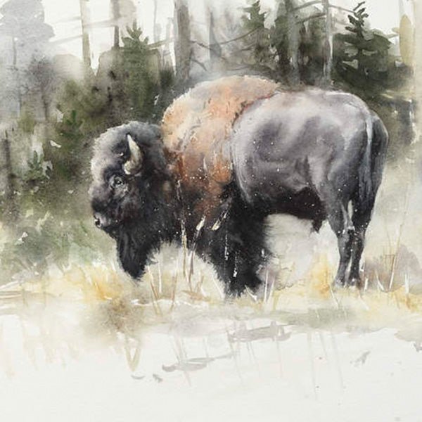 First Watch - by artist Gunnar Tryggmo – Turner Fine Art