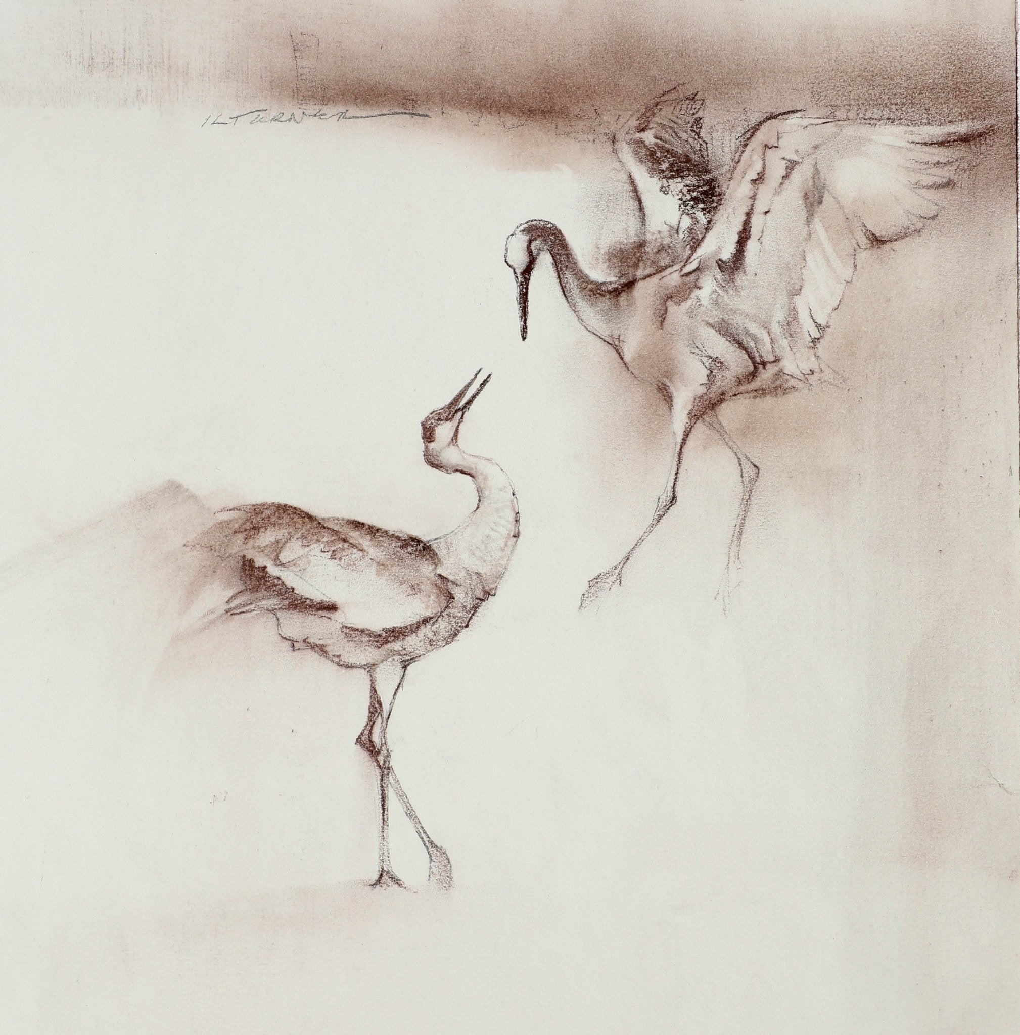 Grace Unfolding - by artist Kathryn Mapes Turner – Turner Fine Art