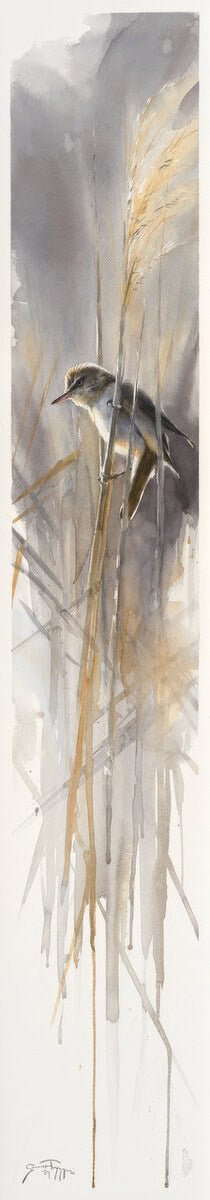 Great Reed Warbler - by artist Gunnar Tryggmo – Turner Fine Art