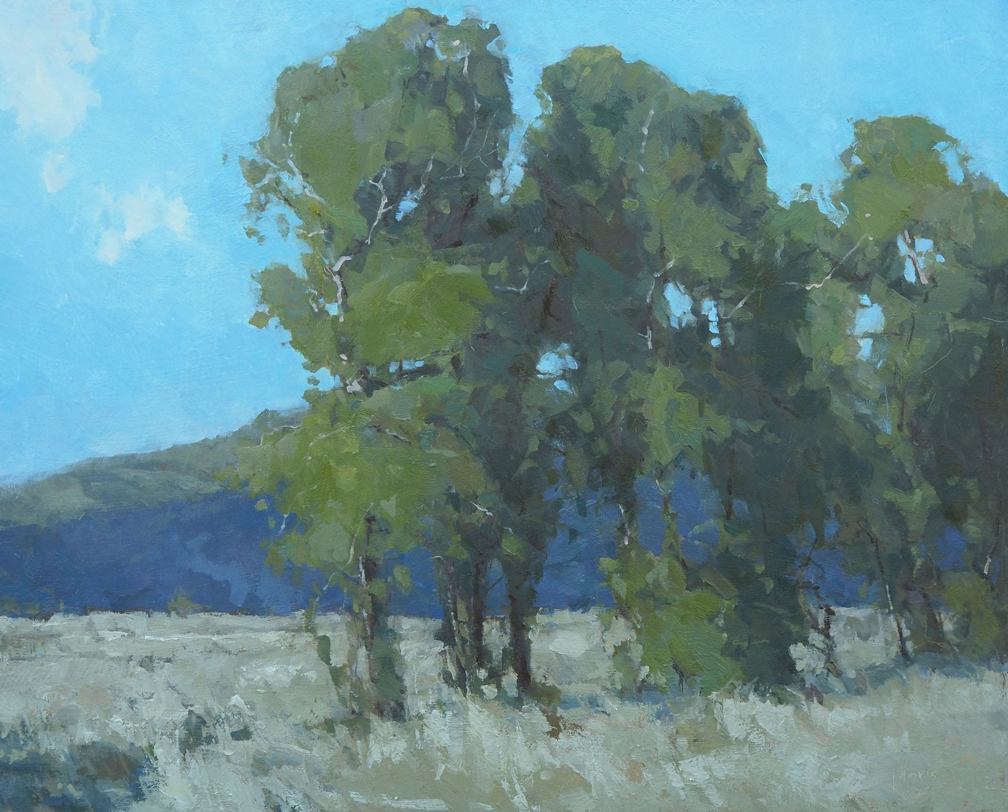 Haven - by artist Julie Davis – Turner Fine Art