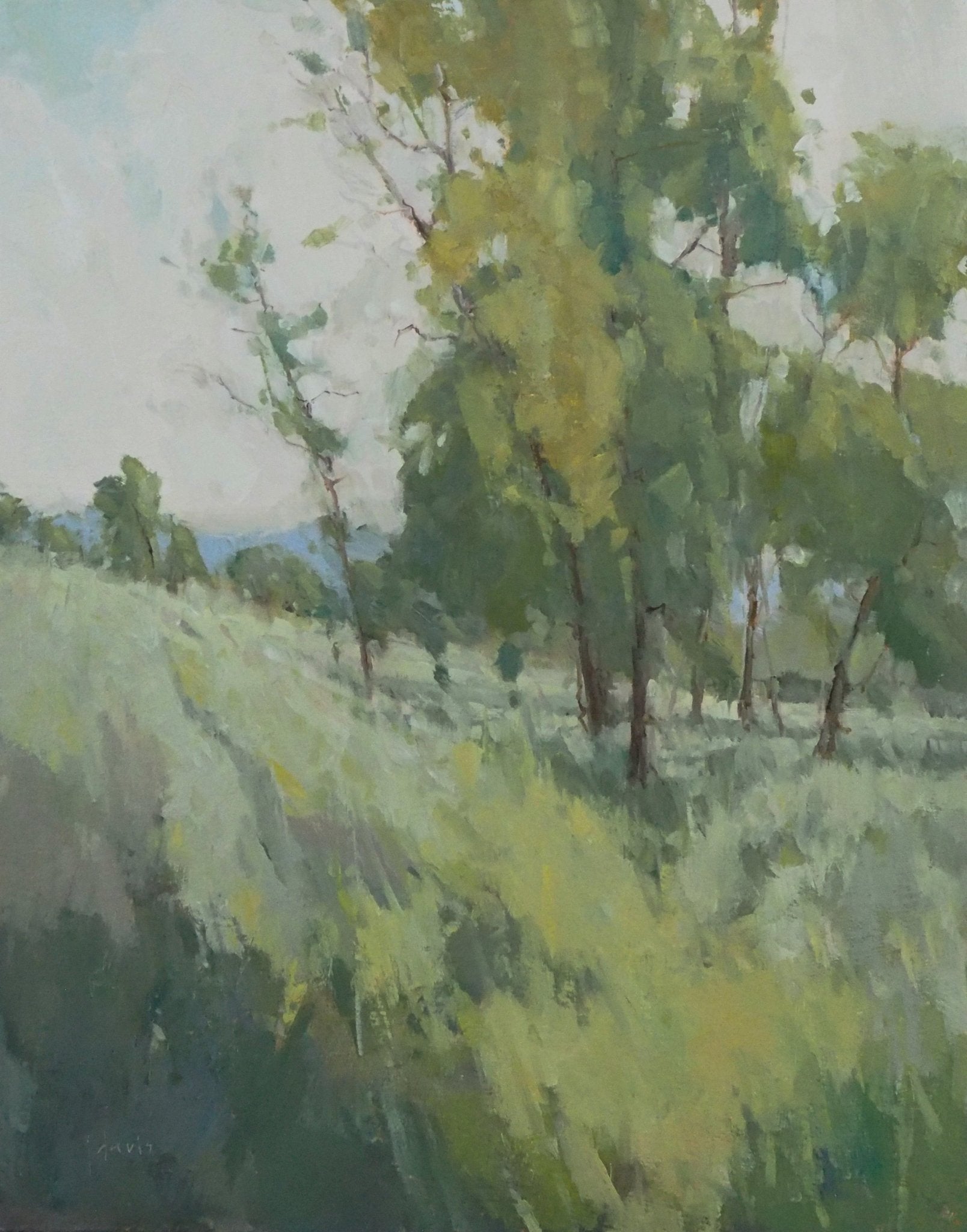 Landscape in Harmony - by artist Julie Davis – Turner Fine Art