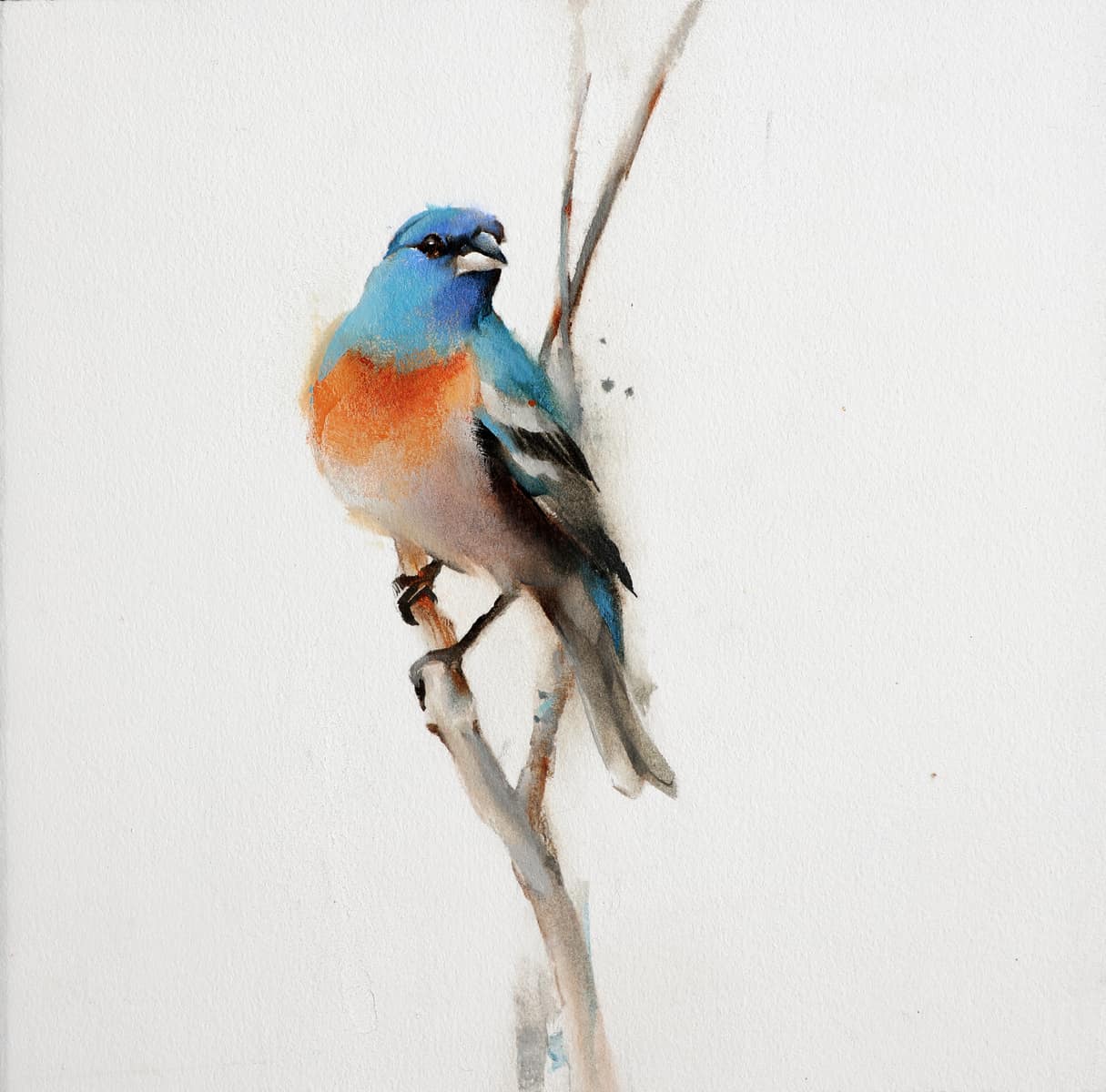 Lazuli Bunting - by artist Kathryn Mapes Turner – Turner Fine Art