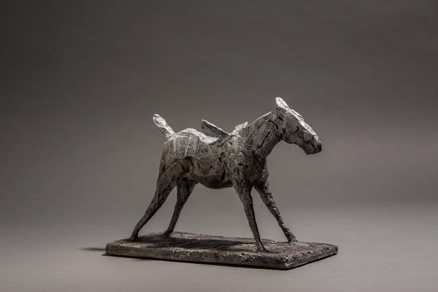 Learning to Fly - by artist Mark Edward Adams – Turner Fine Art