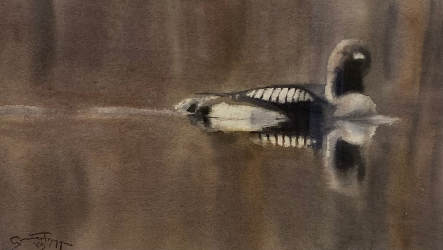 Loon Study - by artist Gunnar Tryggmo – Turner Fine Art