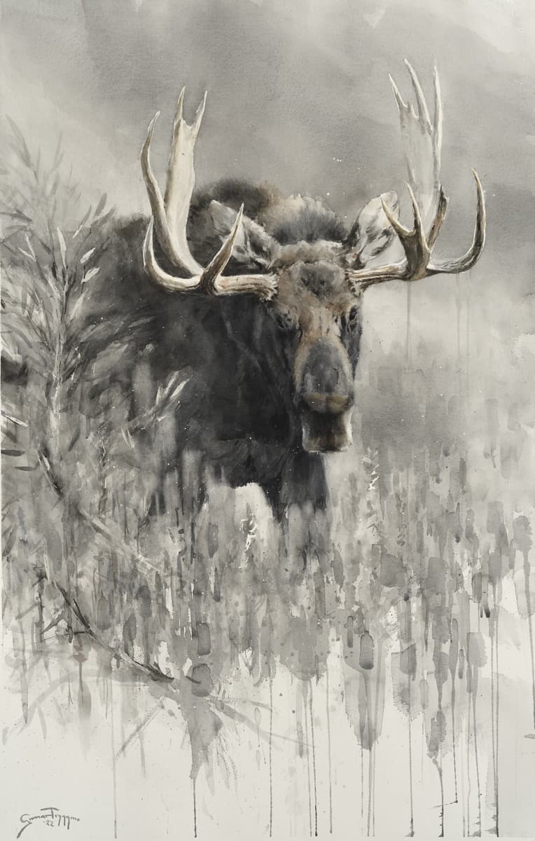 Moose Encounter - by artist Gunnar Tryggmo – Turner Fine Art