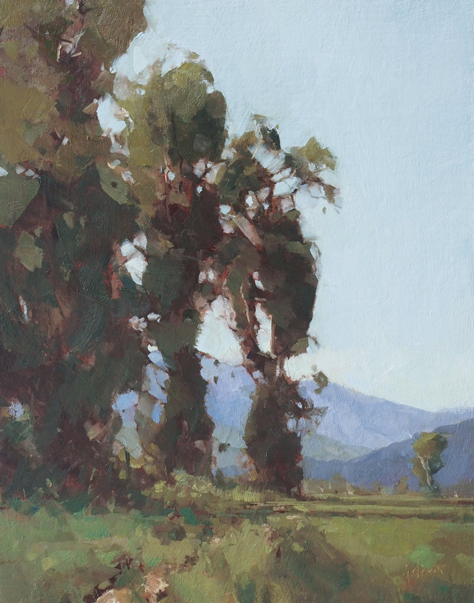 Morning Shadows - by artist Julie Davis – Turner Fine Art