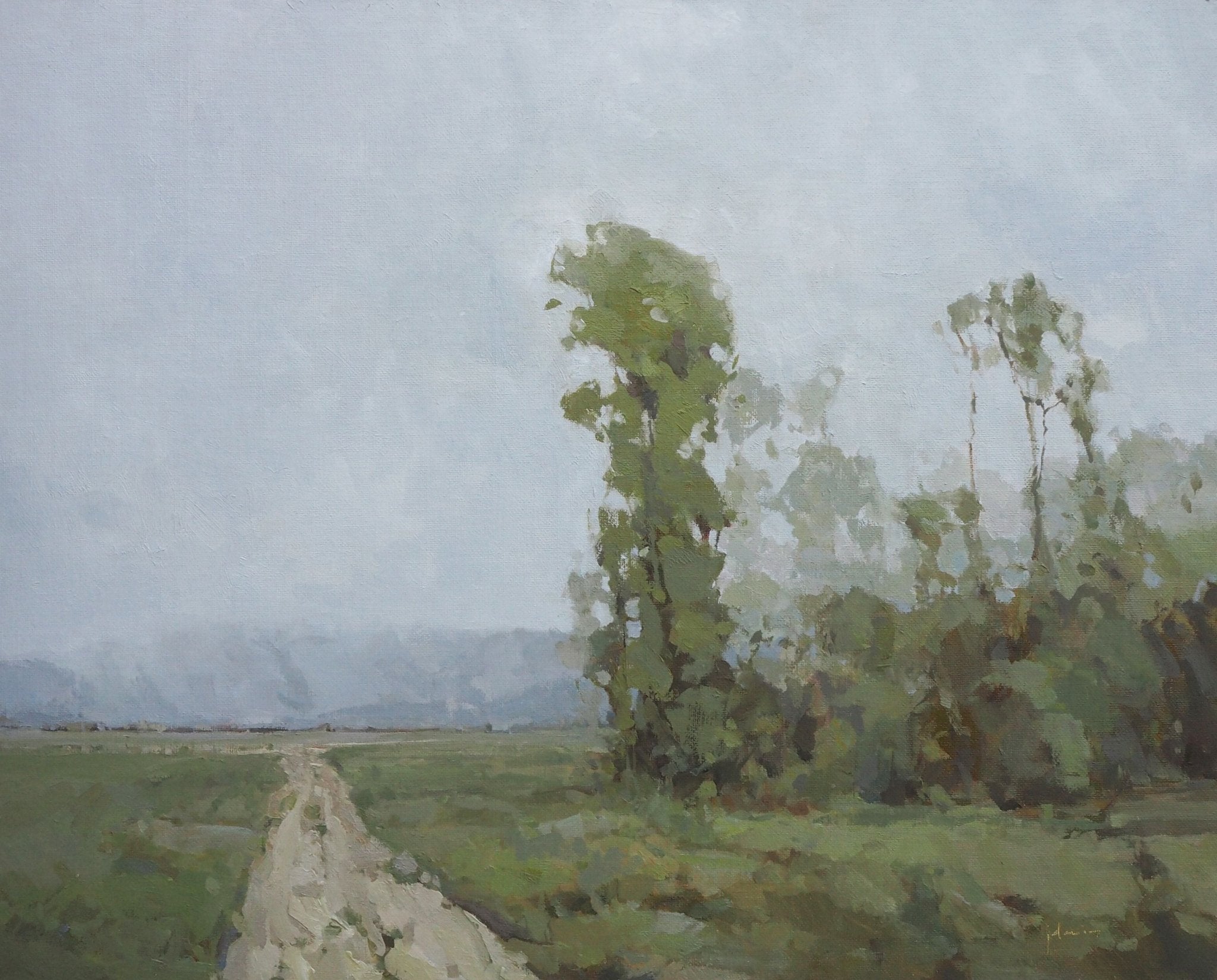 Morning Veil - by artist Julie Davis – Turner Fine Art