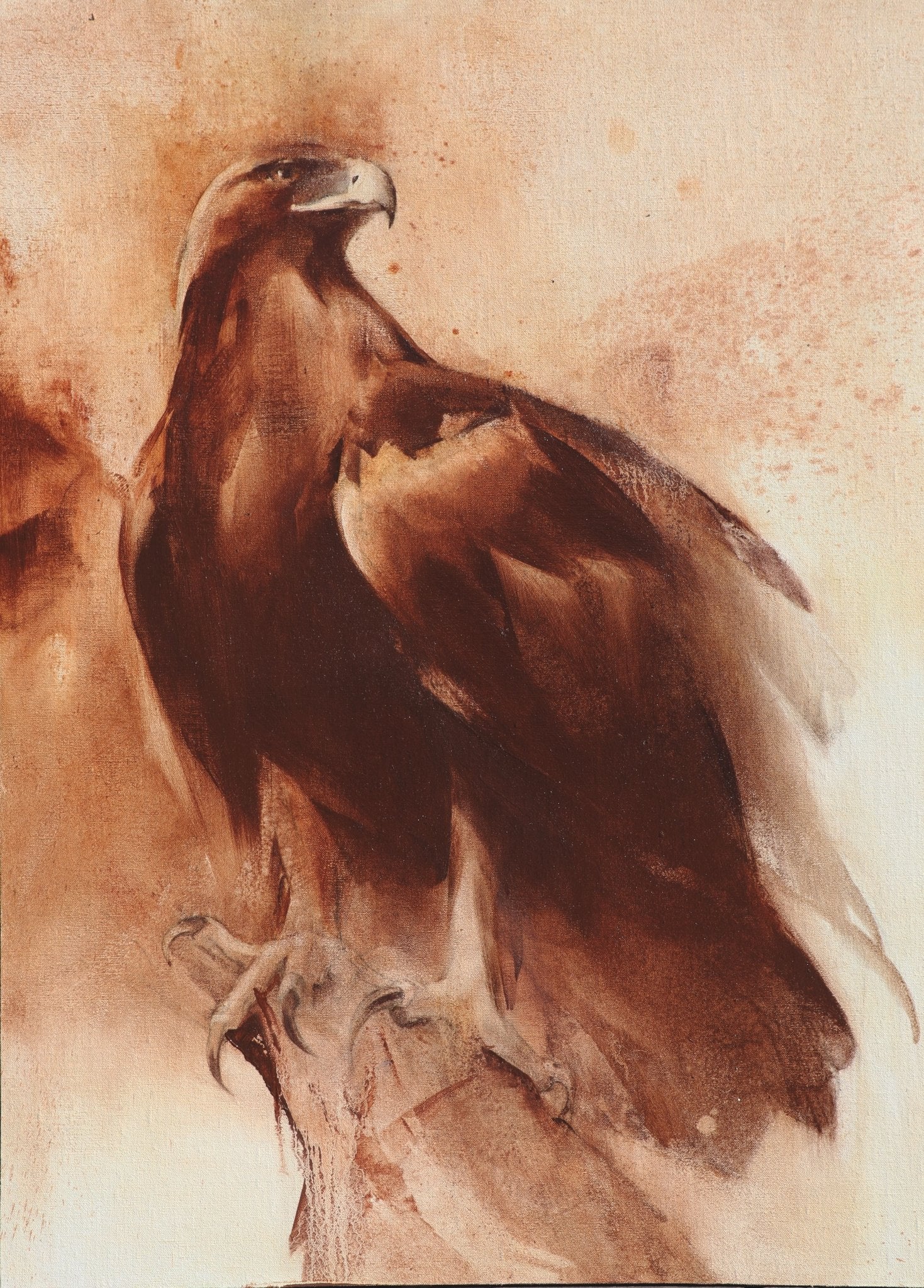 Open Country - by artist Kathryn Mapes Turner – Turner Fine Art