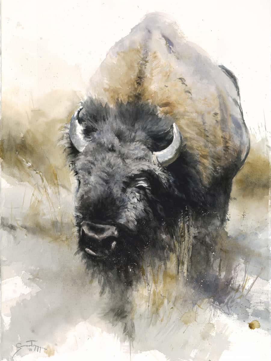 Playful - by artist Gunnar Tryggmo – Turner Fine Art