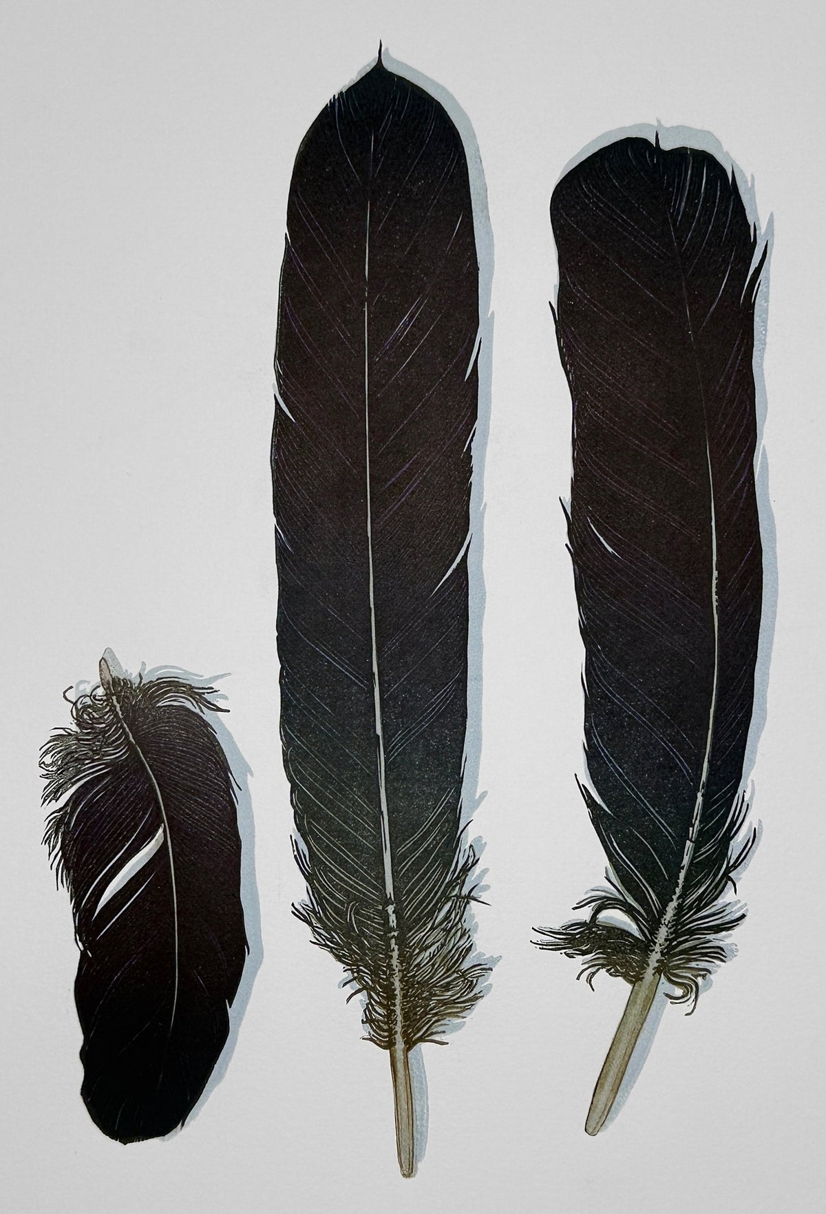 Raven Feather - by artist Monique Wales – Turner Fine Art