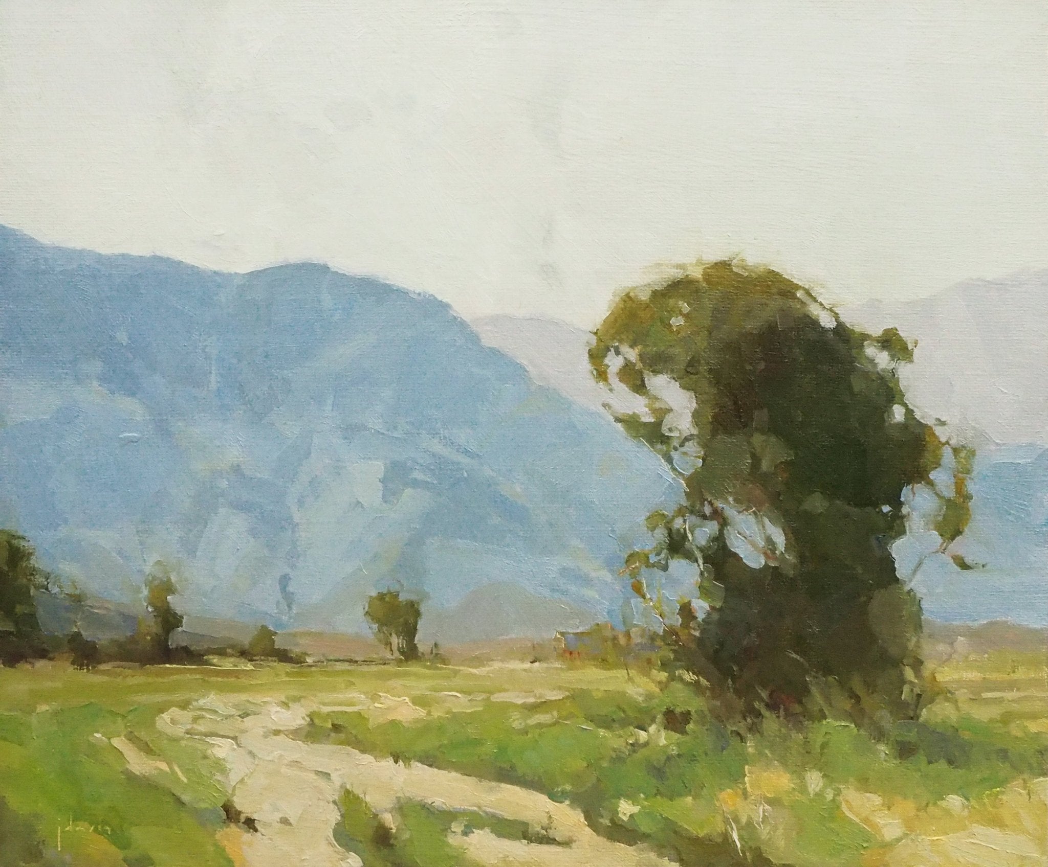 Shades of Midsummer - by artist Julie Davis – Turner Fine Art