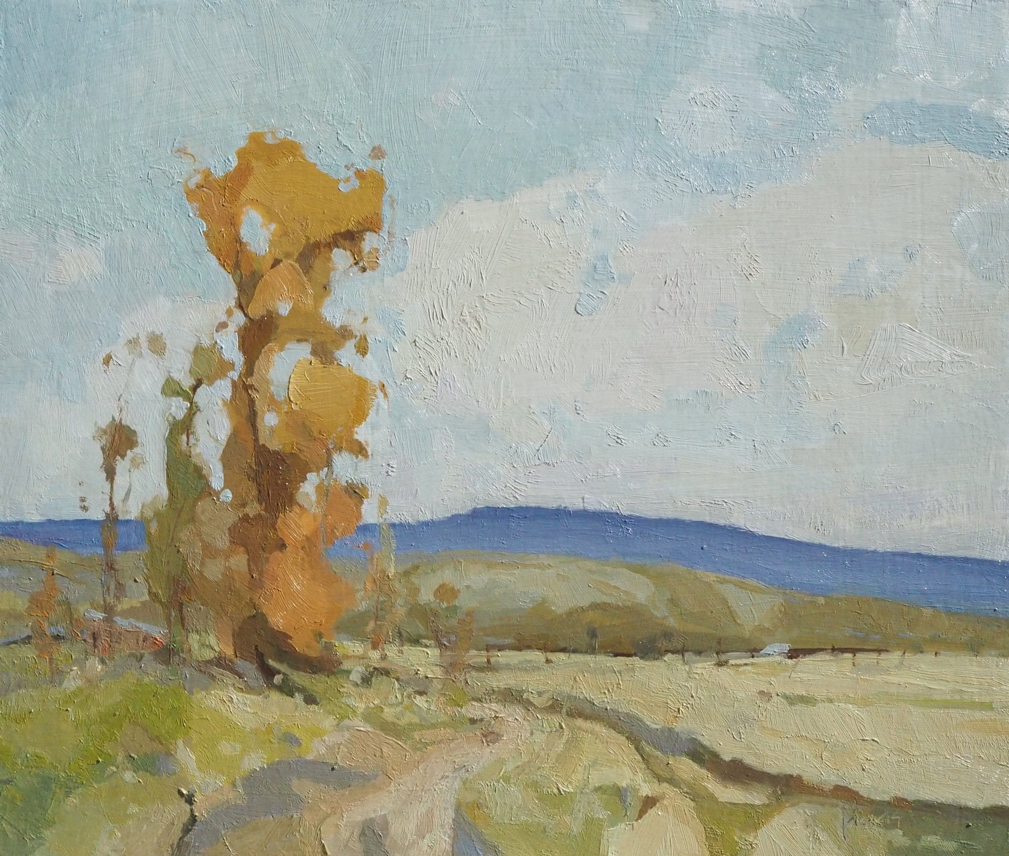 Shifting Seasons - by artist Julie Davis – Turner Fine Art