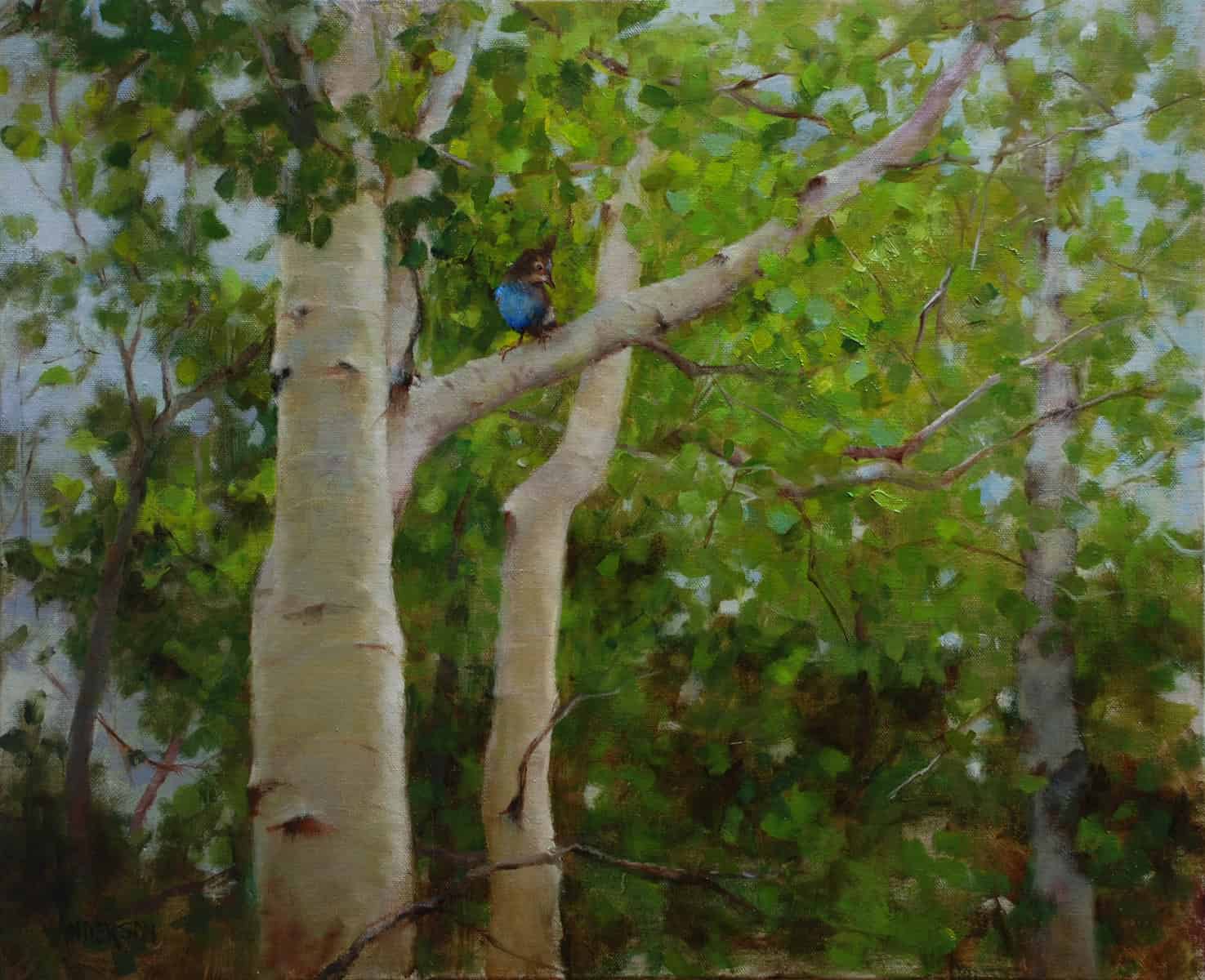 Stellar's Jay In Aspens - by artist Kathy Anderson – Turner Fine Art
