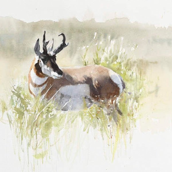 Sunny Days - by artist Gunnar Tryggmo – Turner Fine Art